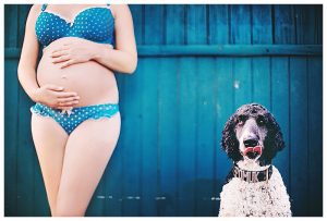 fotoshooting schwanger mit hund